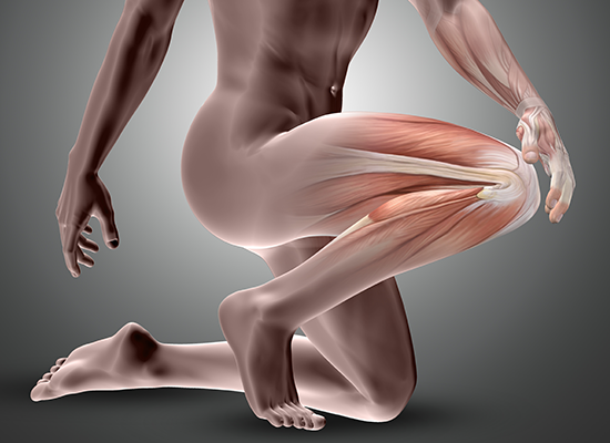 Musculoskeletal and Orthopaedic Conditions